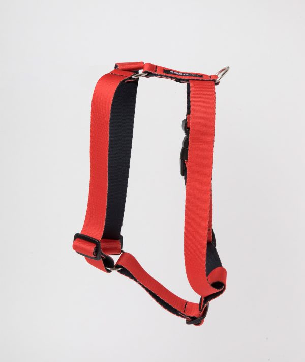 Arnes Rojo