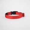 Collar c2 Rojo