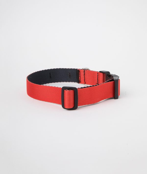 Collar c2 Rojo