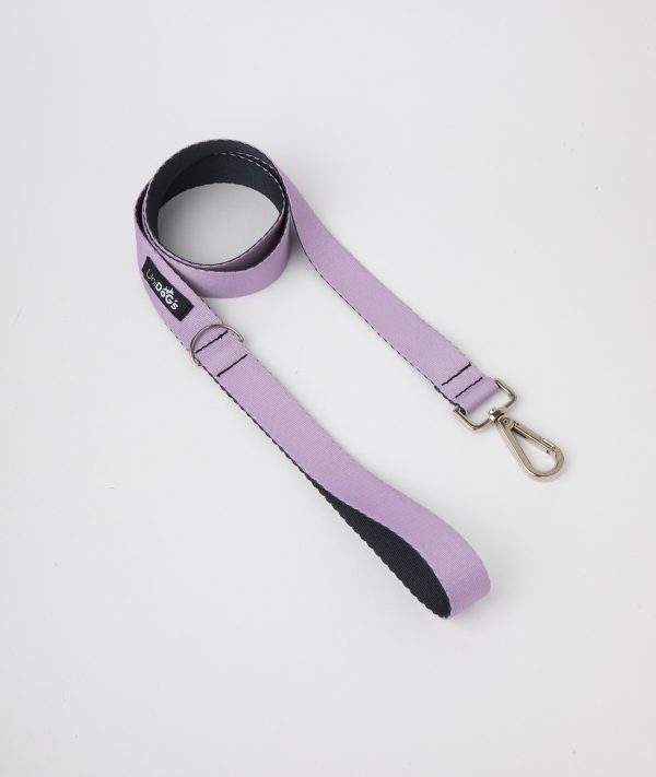 Correa c2 Lila