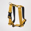 Arnes Amarillo